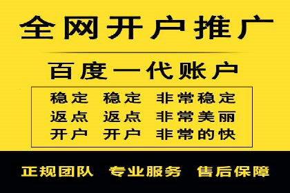 SEM托管公司案例研究：优化策略解析